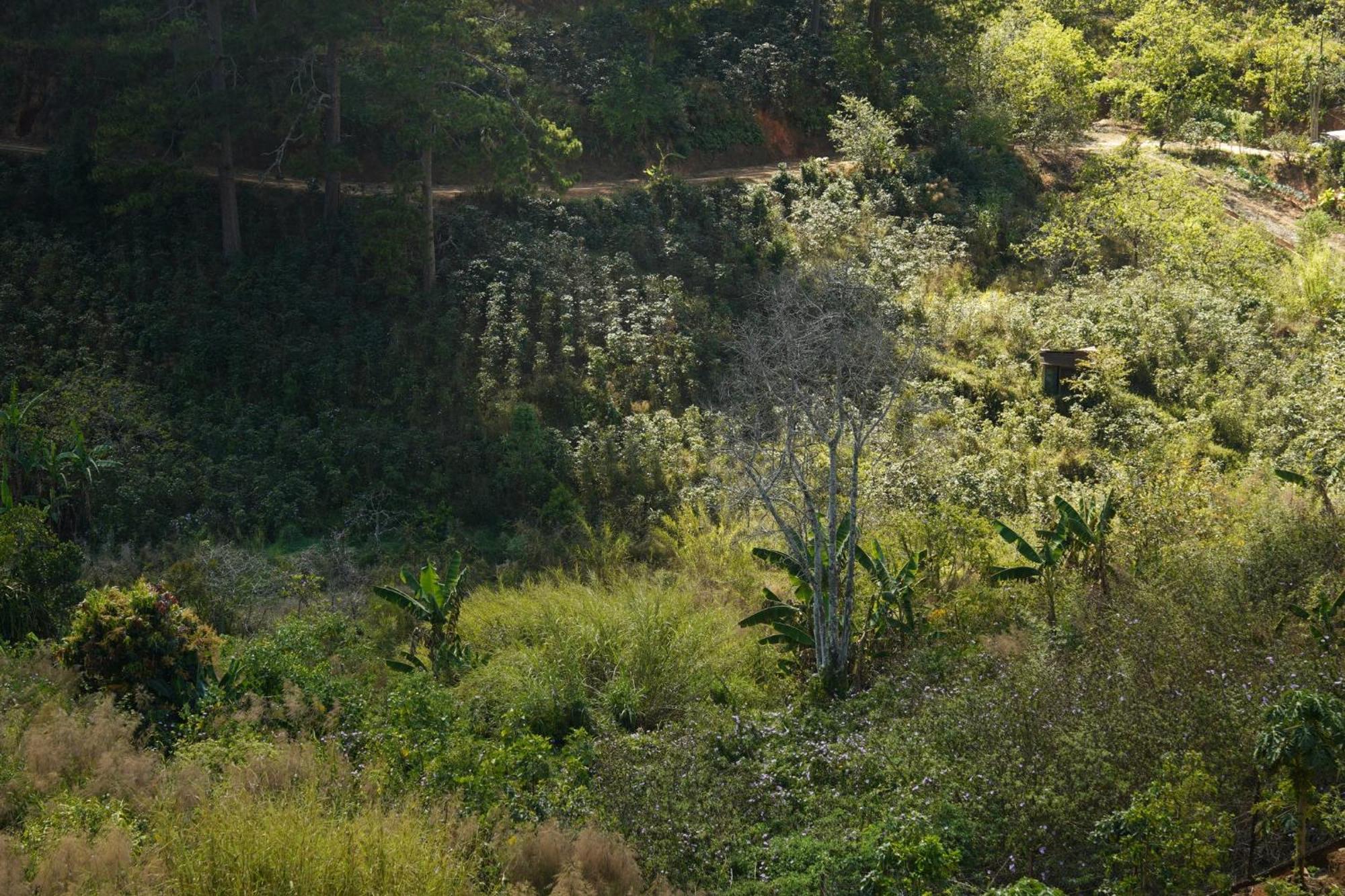 Emai Valley Da Lat Exterior photo